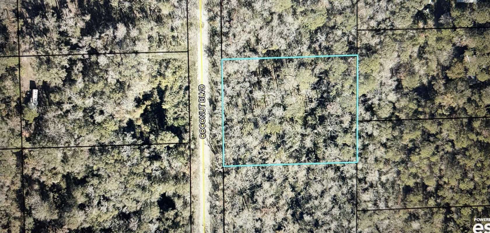 1.1 Acres of Residential Land for Sale in Bunnell, Florida
