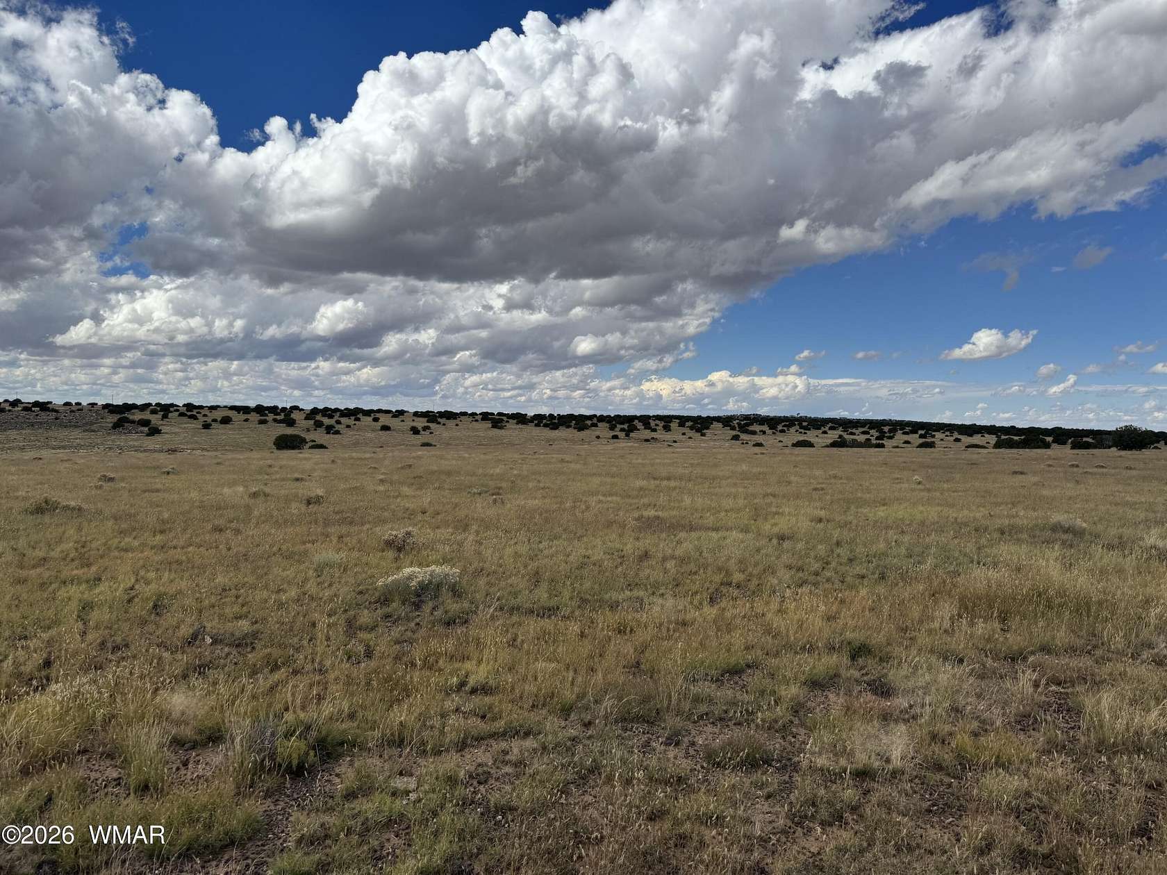 2 Acres of Residential Land for Sale in Concho, Arizona