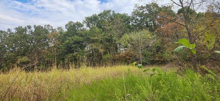 81.1 Acres of Recreational Land for Sale in Buffalo, Missouri