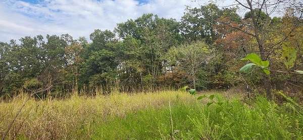 81.1 Acres of Recreational Land for Sale in Buffalo, Missouri