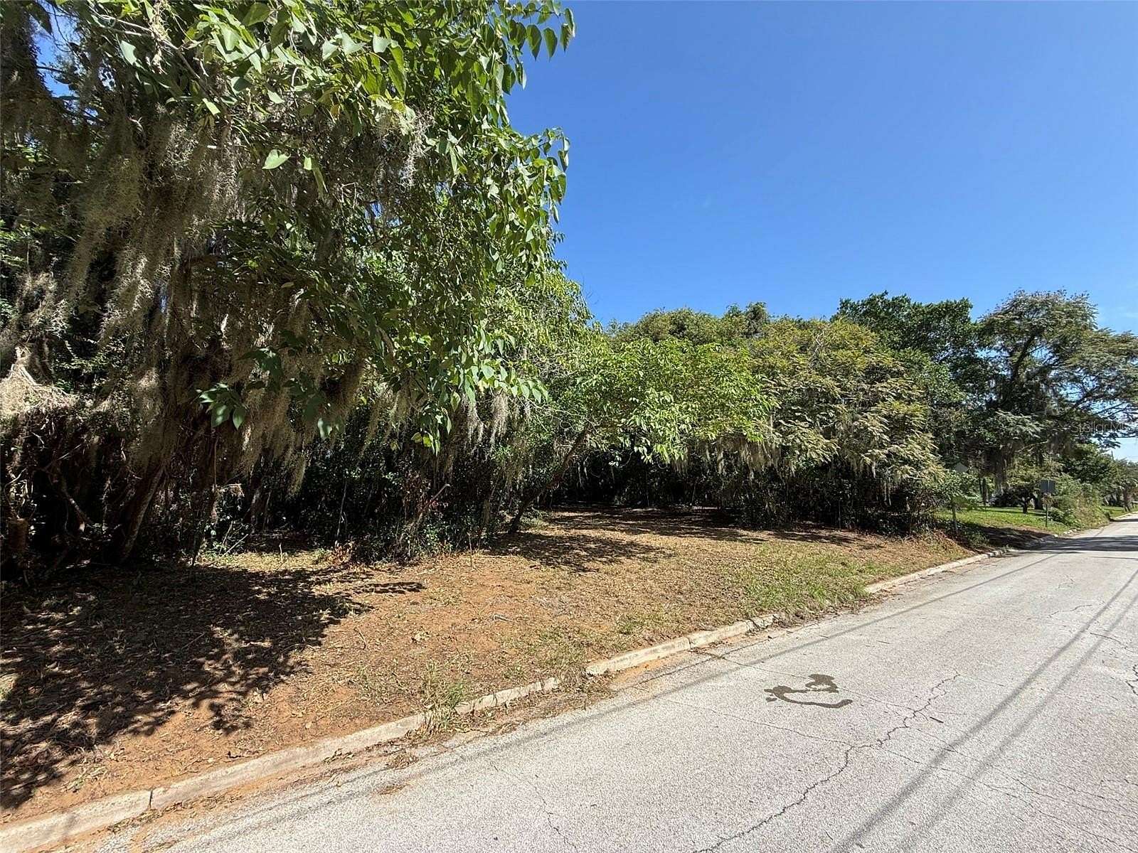 0.45 Acres of Residential Land for Sale in Eustis, Florida