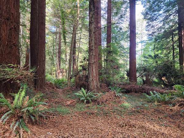 1 Acre of Land for Sale in Crescent City, California
