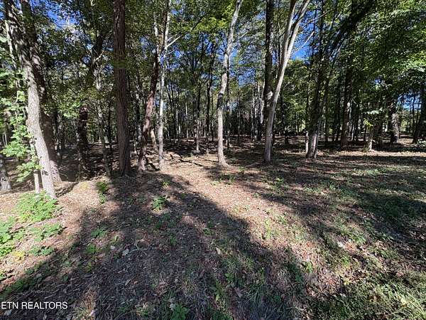 1.33 Acres of Residential Land for Sale in Lenoir City, Tennessee