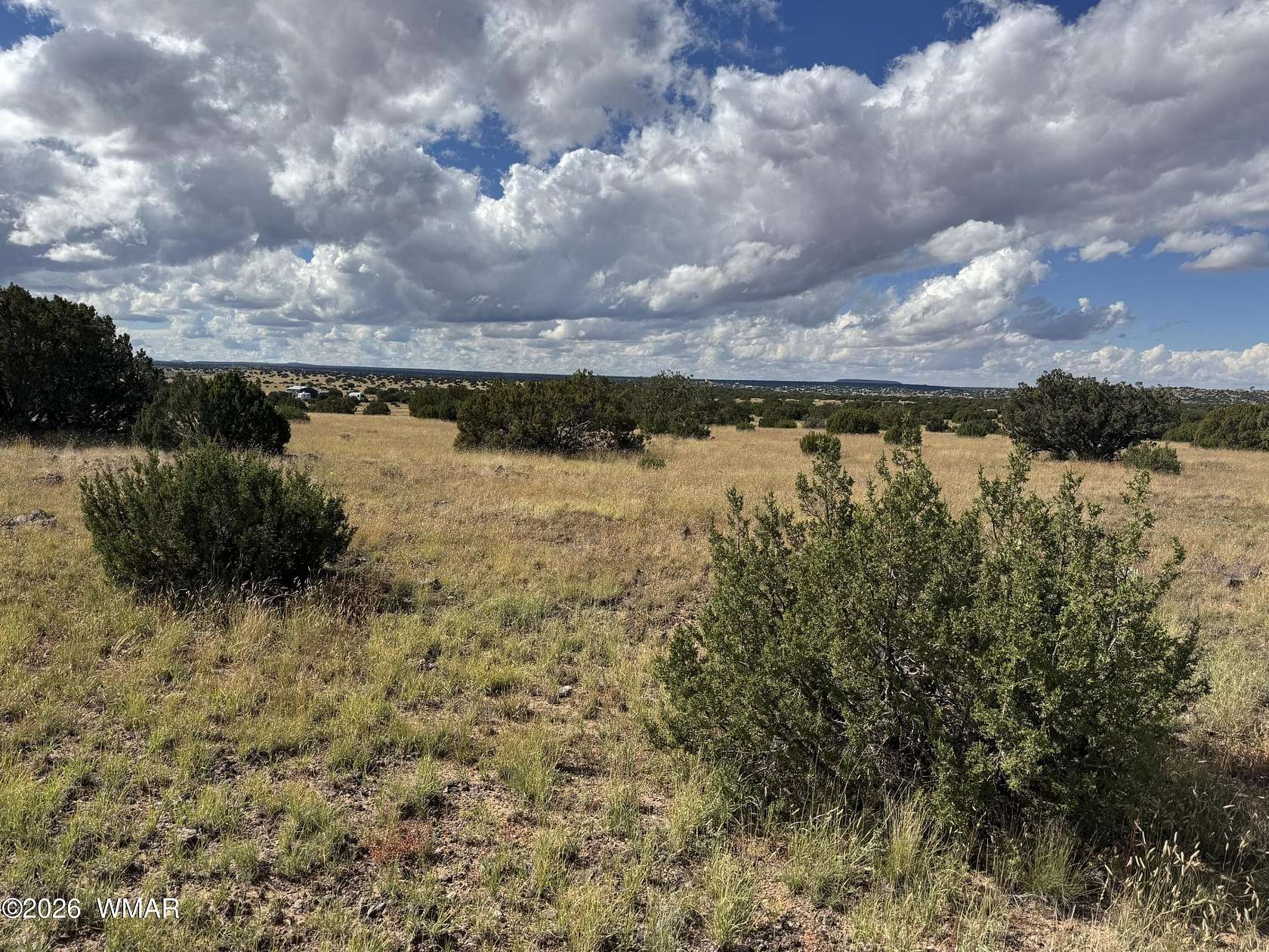 1 Acre of Residential Land for Sale in Concho, Arizona