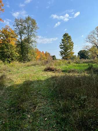 6.26 Acres of Land for Sale in Eau Claire, Michigan
