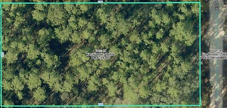 1 Acre of Residential Land for Sale in Weeki Wachee, Florida