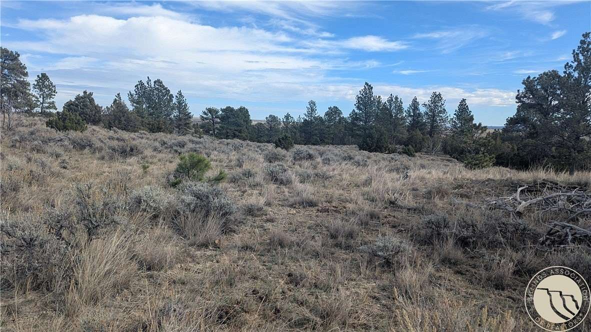 20.6 Acres of Land for Sale in Roundup, Montana