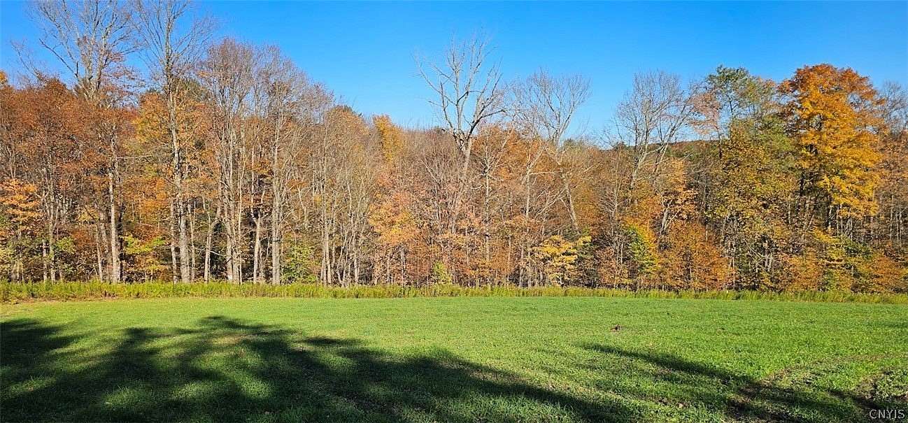 41 Acres of Recreational & Residential Land for Sale in Marathon, New York