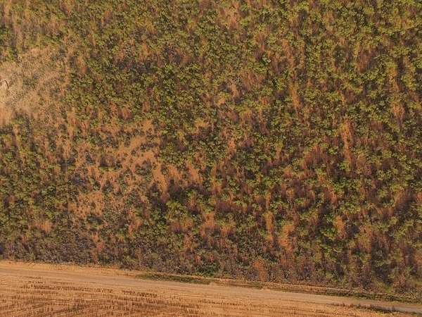2.5 Acres of Residential Land for Sale in Roby, Texas