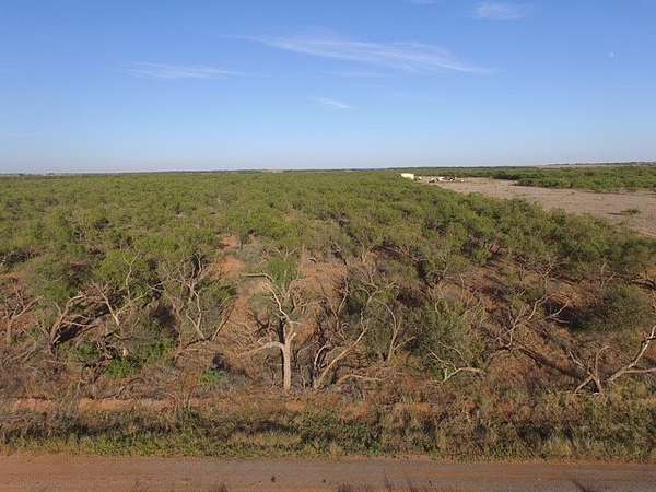 2.5 Acres of Residential Land for Sale in Roby, Texas