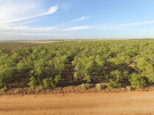 2.5 Acres of Residential Land for Sale in Roby, Texas