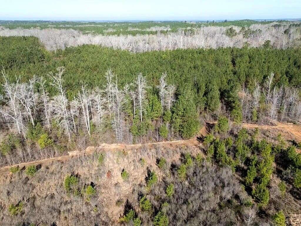 185 Acres of Recreational Land for Sale in Eufaula, Alabama