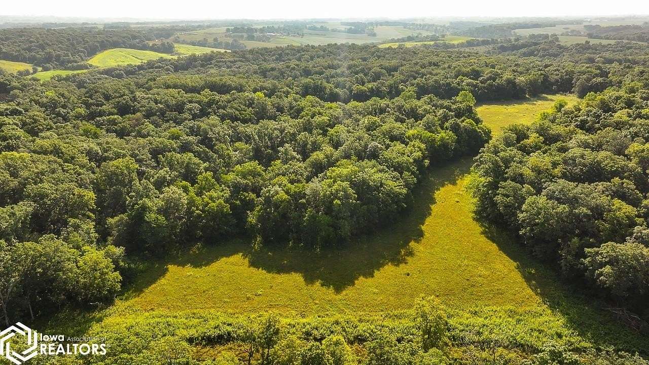 126 Acres of Agricultural Land for Sale in Hedrick, Iowa