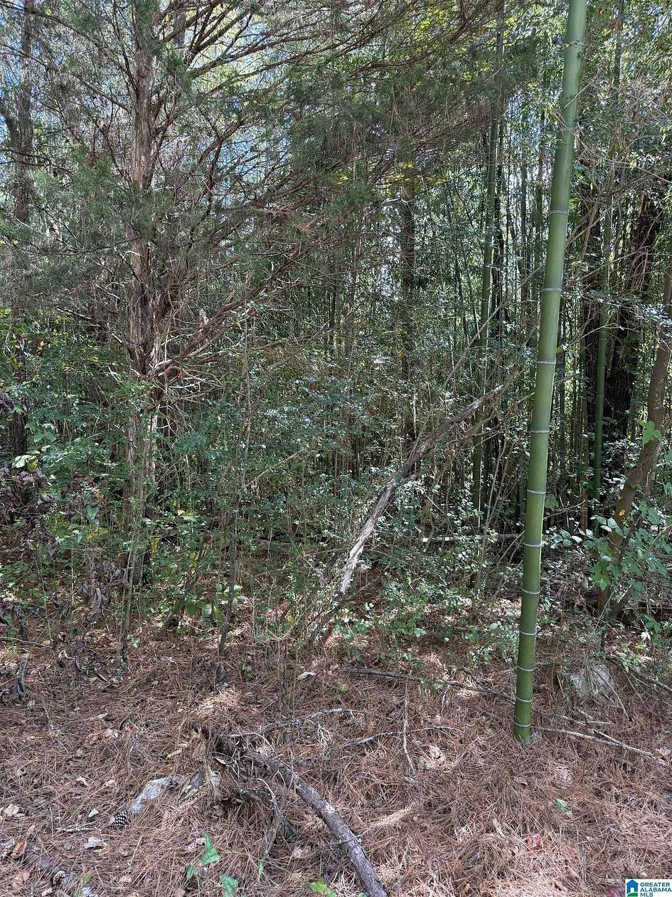 1.4 Acres of Land for Sale in Hayden, Alabama