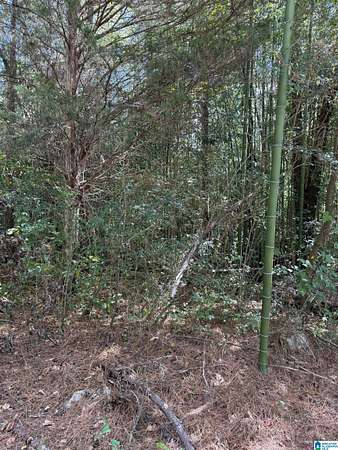 1.4 Acres of Land for Sale in Hayden, Alabama