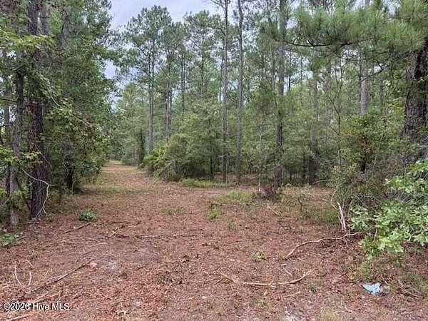 Residential Land for Sale in Currie, North Carolina