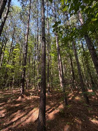931 Acres of Recreational & Residential Land for Sale in Duncanville, Alabama