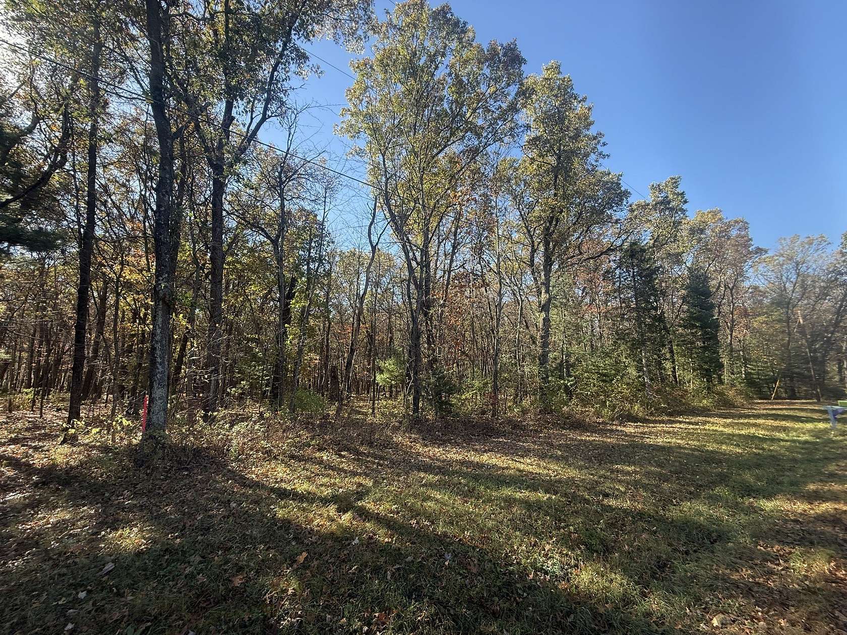 10 Acres of Residential Land for Sale in Eleva, Wisconsin