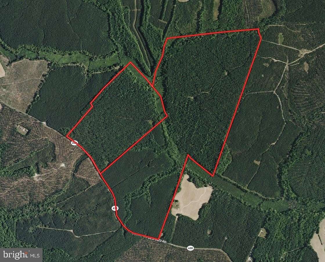 336 Acres of Recreational & Residential Land for Auction in King and Queen Court House, Virginia
