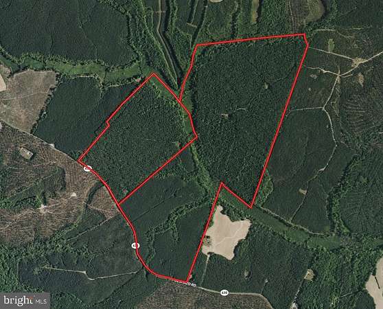 336 Acres of Recreational & Residential Land for Auction in King and Queen Court House, Virginia