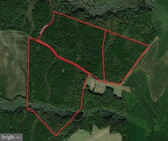 245 Acres of Recreational & Residential Land for Auction in King and Queen Court House, Virginia