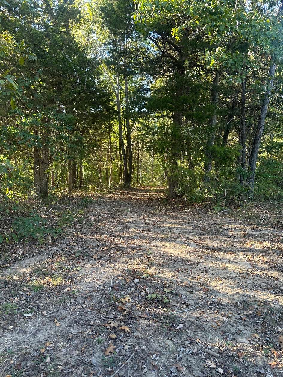 24 Acres of Recreational & Residential Land for Sale in Morgantown, Kentucky