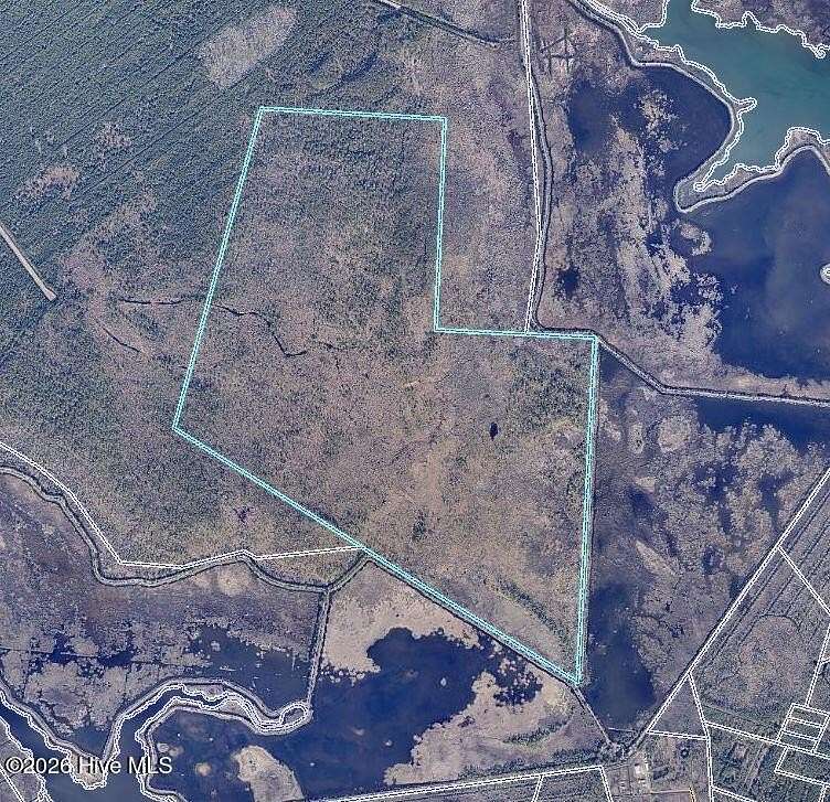 282 Acres of Land for Sale in Davis, North Carolina