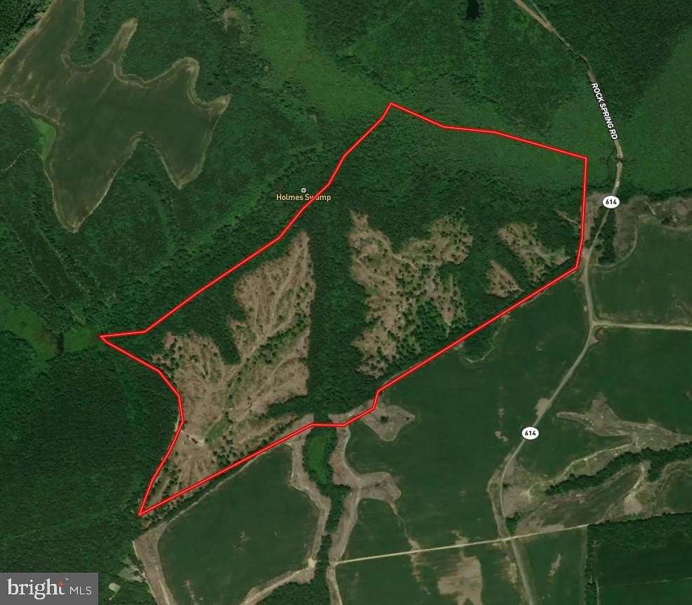 209 Acres of Recreational & Residential Land for Auction in King and Queen Court House, Virginia