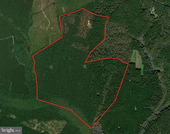 303 Acres of Recreational & Residential Land for Auction in Center Cross, Virginia