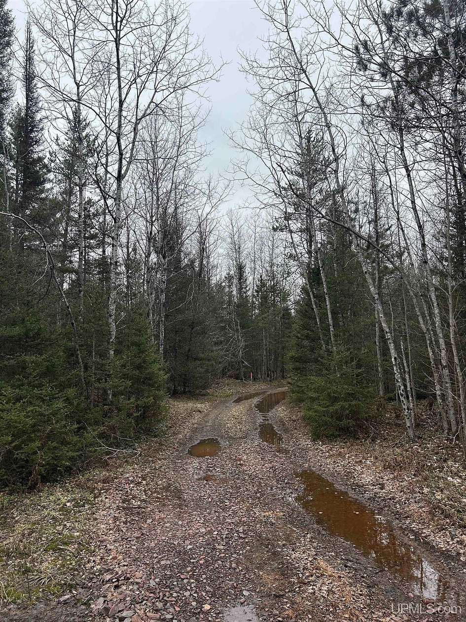 120 Acres of Recreational Land for Sale in Gwinn, Michigan