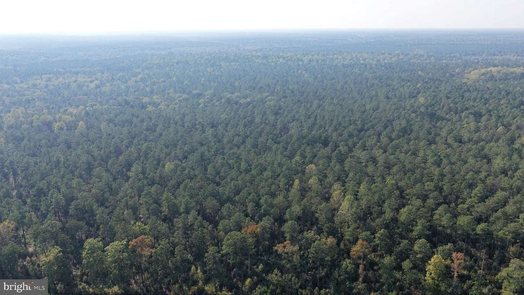 788 Acres of Recreational & Residential Land for Auction in King and Queen Court House, Virginia