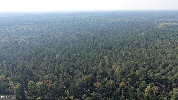 788 Acres of Recreational & Residential Land for Auction in King and Queen Court House, Virginia