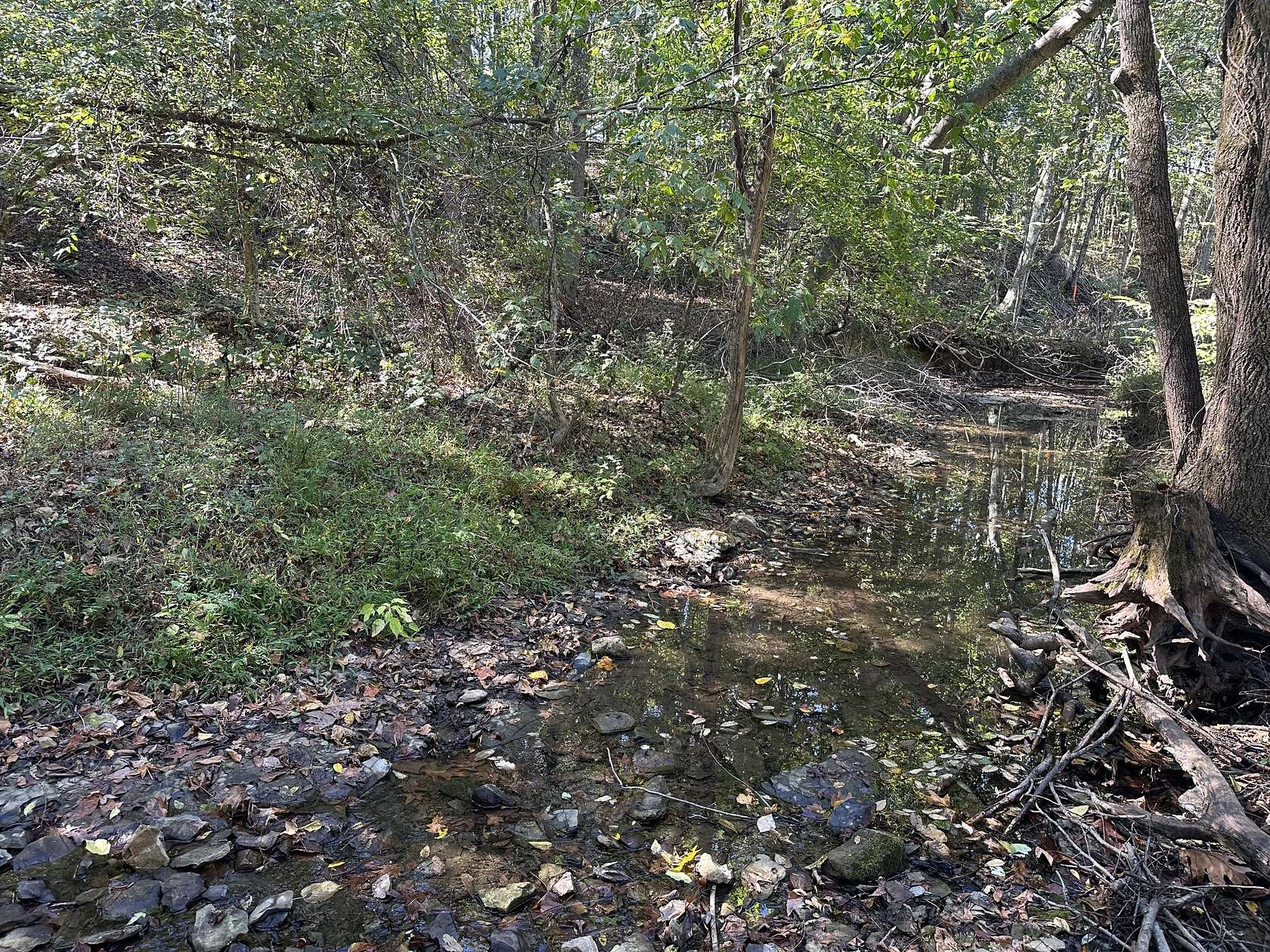 6 Acres of Land for Sale in Bethpage, Tennessee