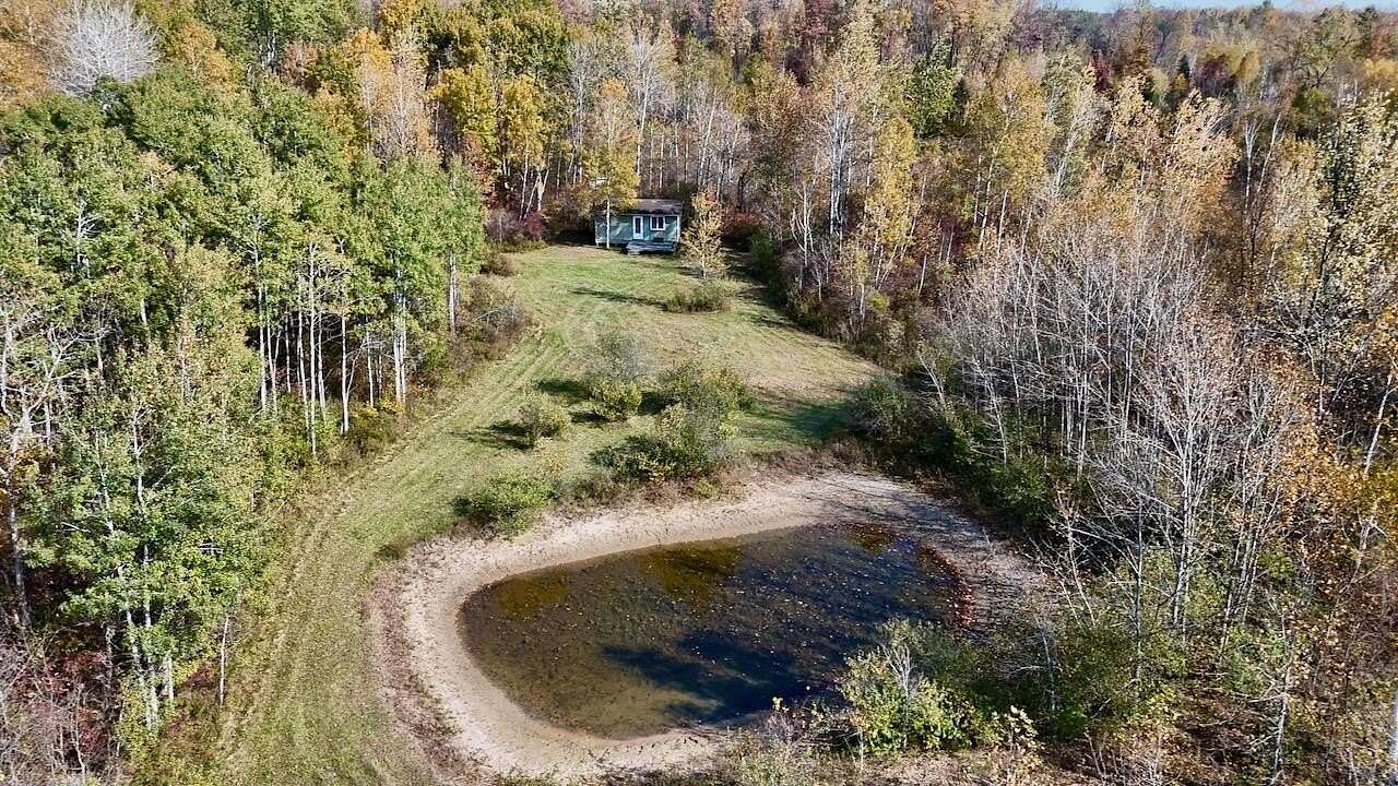 40 Acres of Recreational Land for Sale in Clare, Michigan