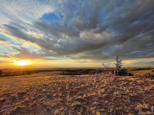 41.5 Acres of Recreational Land for Sale in Livermore, Colorado