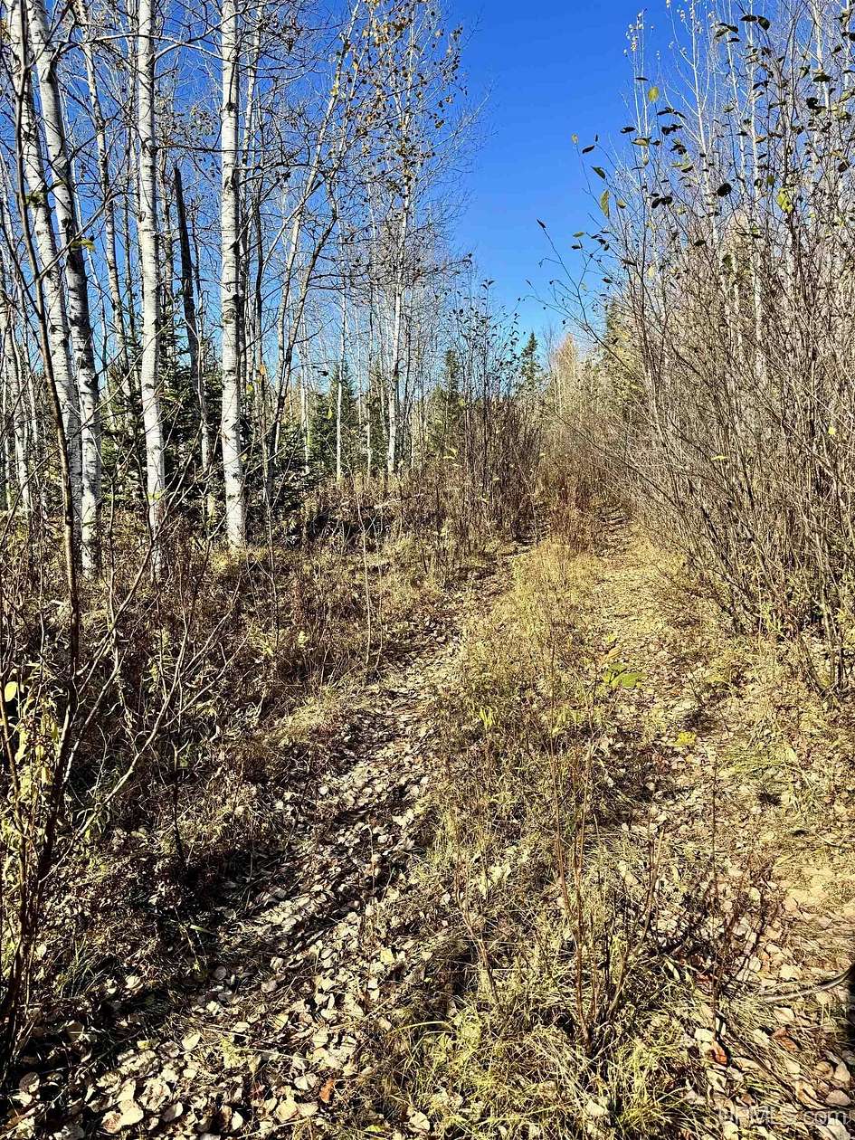 80 Acres of Recreational Land for Sale in Vulcan, Michigan