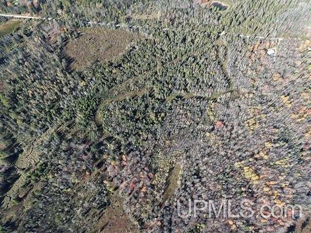 57 Acres of Recreational & Residential Land for Sale in Perkins, Michigan