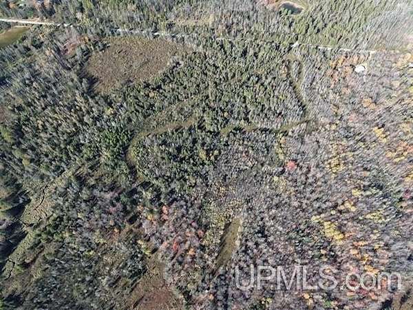 57 Acres of Recreational & Residential Land for Sale in Perkins, Michigan