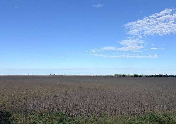 79.2 Acres of Agricultural Land for Auction in Vermillion, South Dakota