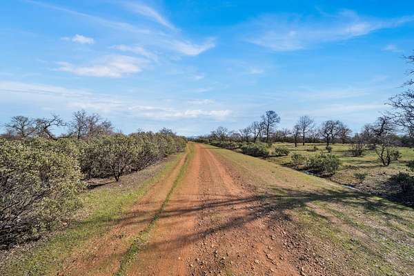 48.8 Acres of Agricultural & Residential Land for Sale in Cottonwood, California