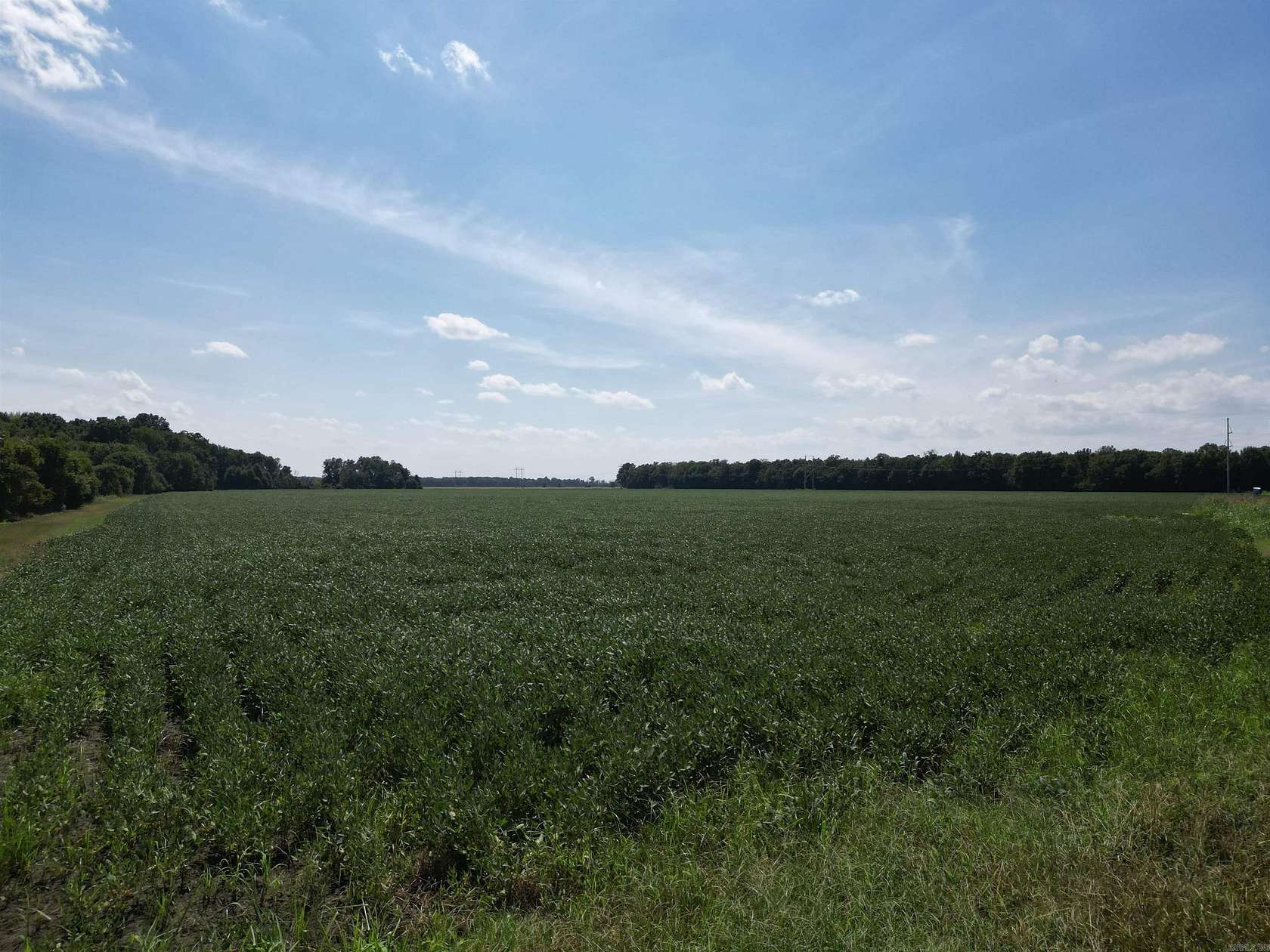 68 Acres of Land for Sale in Swifton, Arkansas