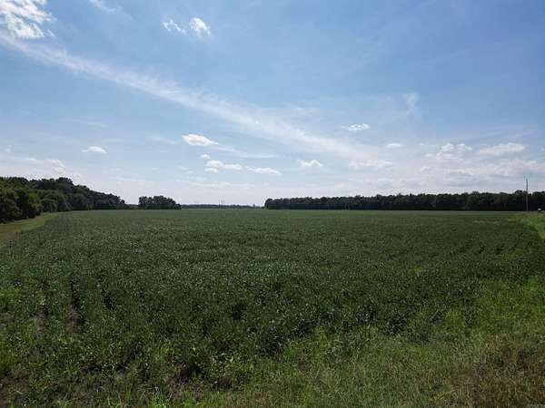 68 Acres of Land for Sale in Swifton, Arkansas