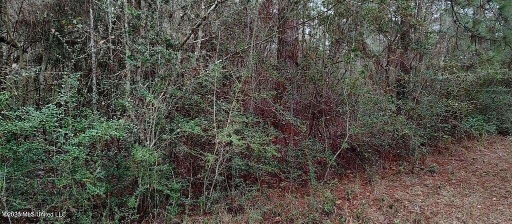 0.25 Acres of Residential Land for Sale in Lumberton, Mississippi