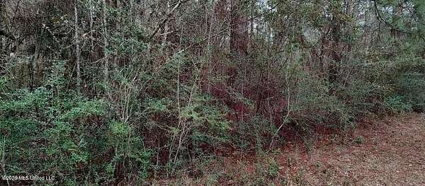 0.25 Acres of Residential Land for Sale in Lumberton, Mississippi