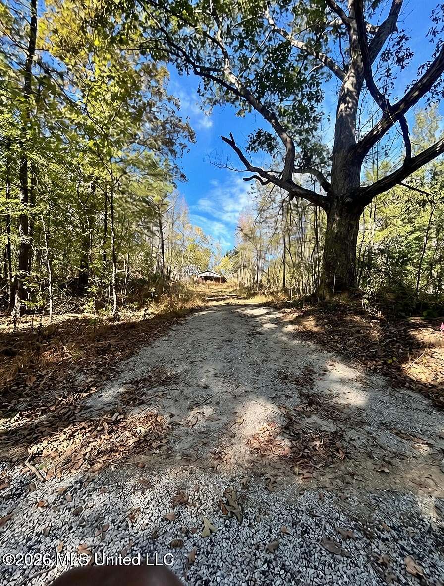 58 Acres of Agricultural & Residential Land for Sale in Holly Springs, Mississippi
