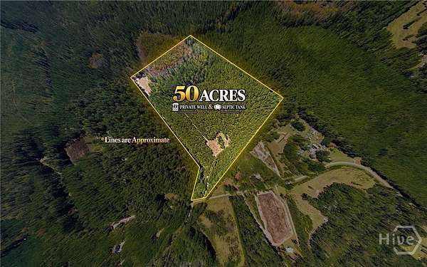 50 Acres of Land for Sale in Sylvania, Georgia
