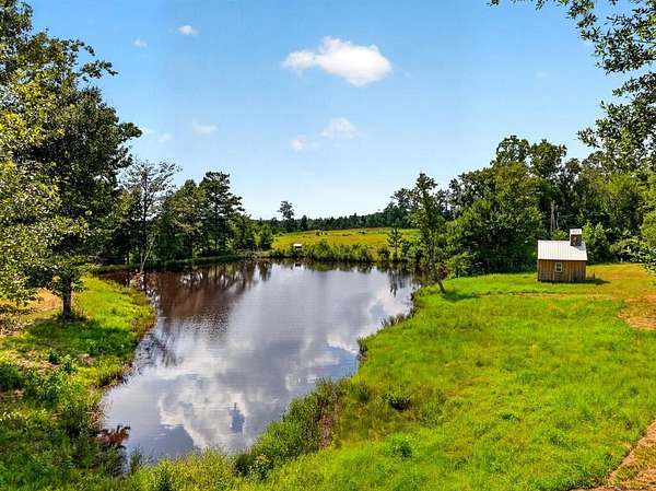 40.3 Acres of Recreational Land for Sale in Poplarville, Mississippi
