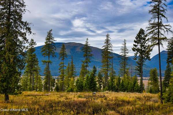 10 Acres of Land for Sale in Bonners Ferry, Idaho