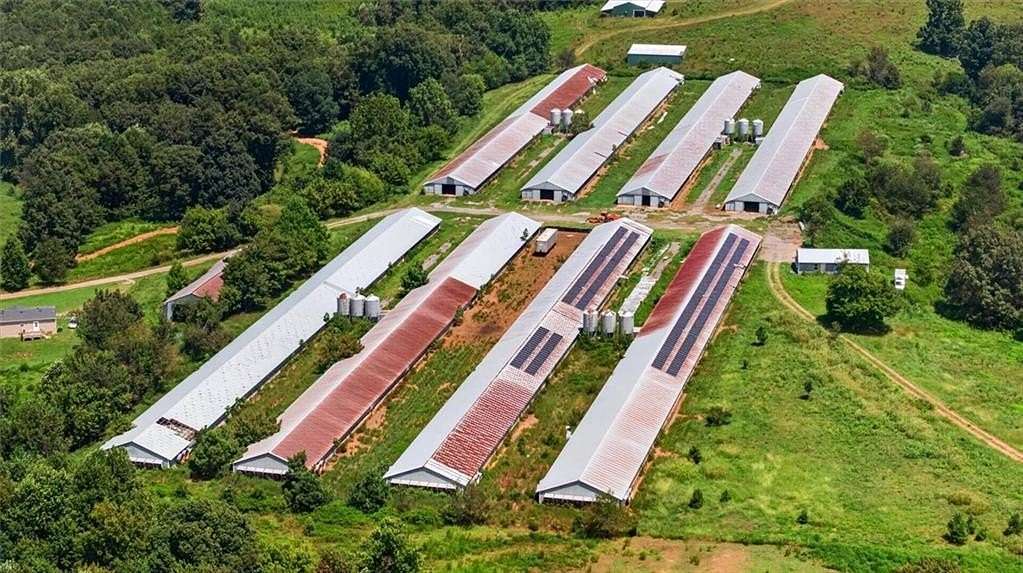 19.1 Acres of Improved Land for Sale in Jasper, Georgia