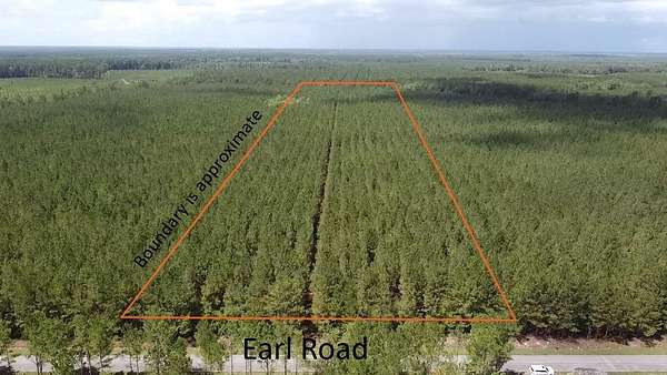 21 Acres of Recreational & Residential Land for Sale in Andrews, South Carolina